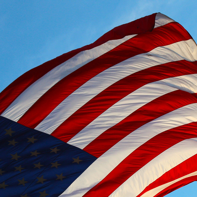 Federal TransFERS Flag
